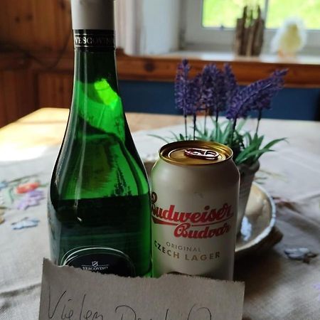 Romantische Ferienhuette Nationalpark Kalkalpen, Sonnig, 2 Schlafzimmer, Wlan Kleinreifling ภายนอก รูปภาพ
