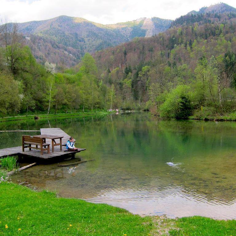 Romantische Ferienhuette Nationalpark Kalkalpen, Sonnig, 2 Schlafzimmer, Wlan Kleinreifling ภายนอก รูปภาพ