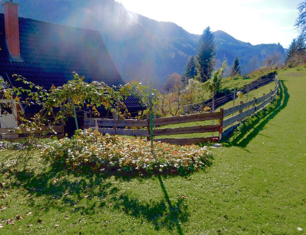 Romantische Ferienhuette Nationalpark Kalkalpen, Sonnig, 2 Schlafzimmer, Wlan Kleinreifling ภายนอก รูปภาพ
