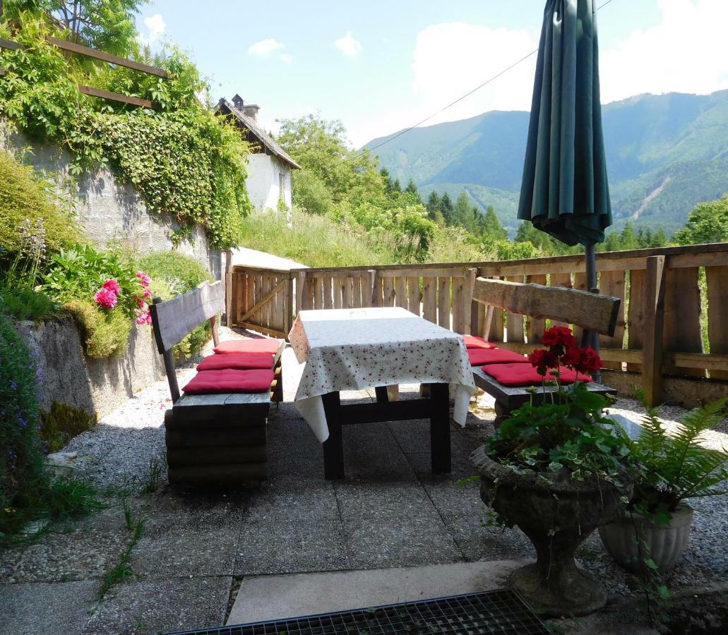 Romantische Ferienhuette Nationalpark Kalkalpen, Sonnig, 2 Schlafzimmer, Wlan Kleinreifling ภายนอก รูปภาพ
