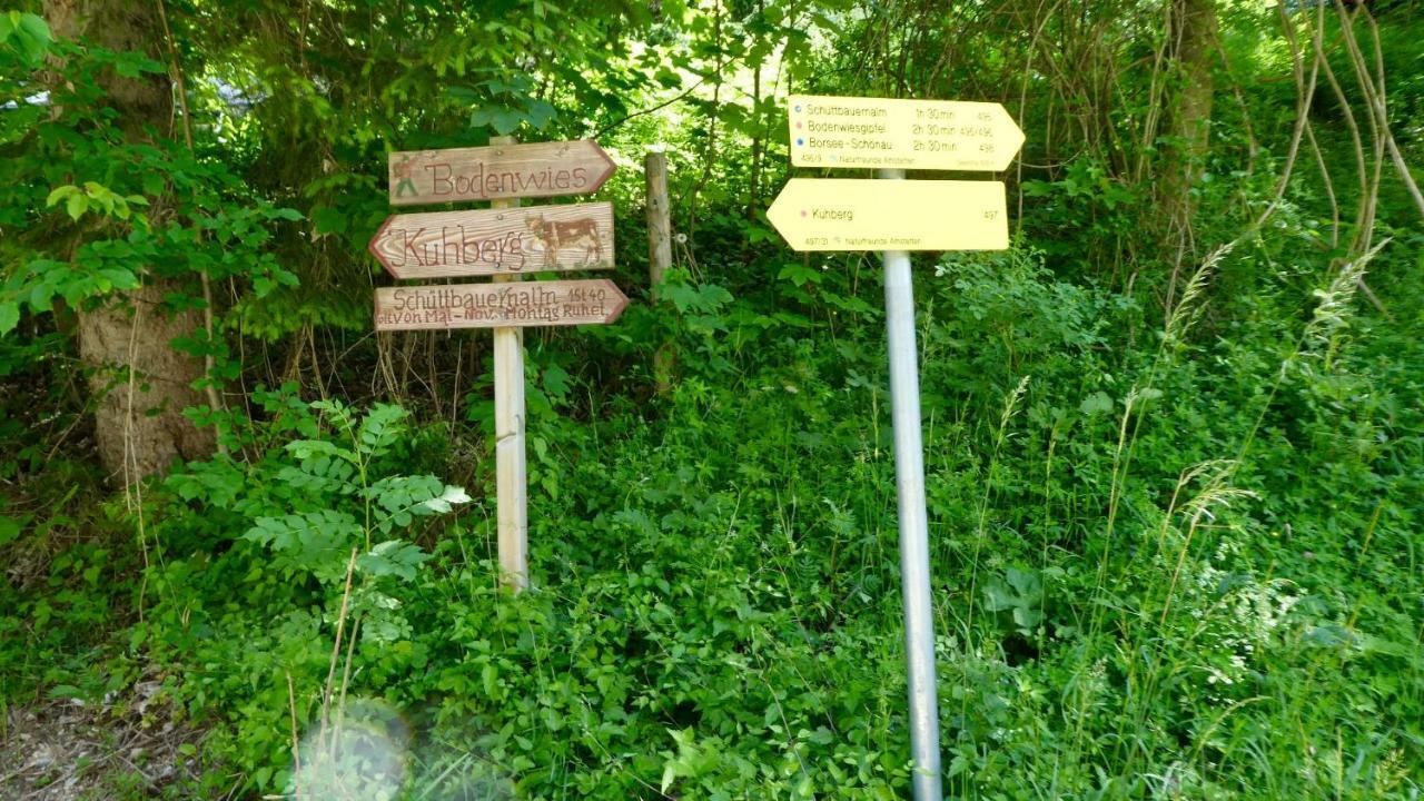 Romantische Ferienhuette Nationalpark Kalkalpen, Sonnig, 2 Schlafzimmer, Wlan Kleinreifling ภายนอก รูปภาพ